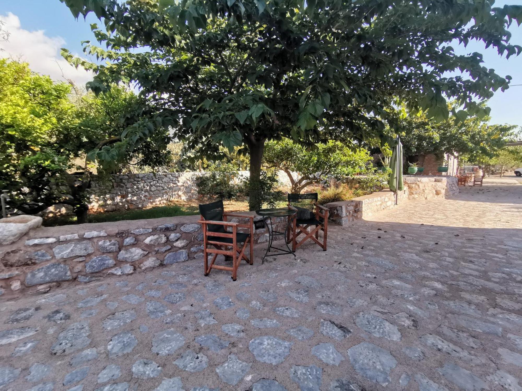 Guesthouse Toxotis Pírgos Dhiroú Esterno foto